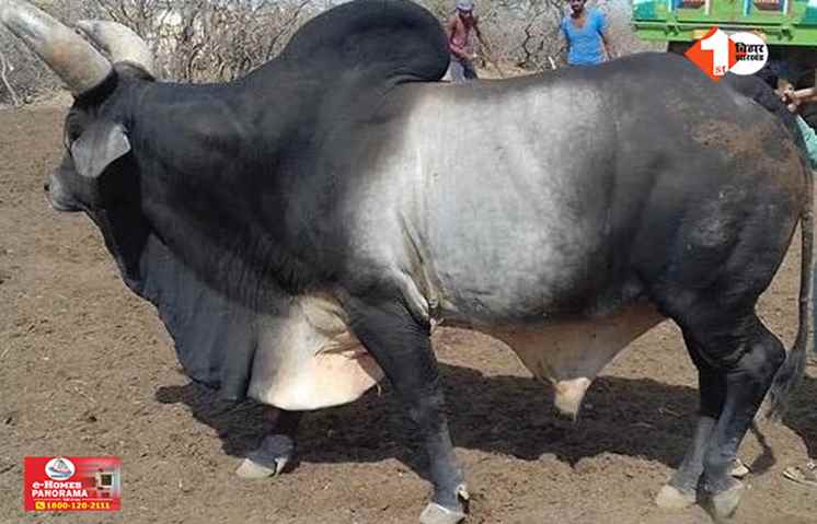 Bihar