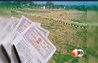  Bihar land mutation online