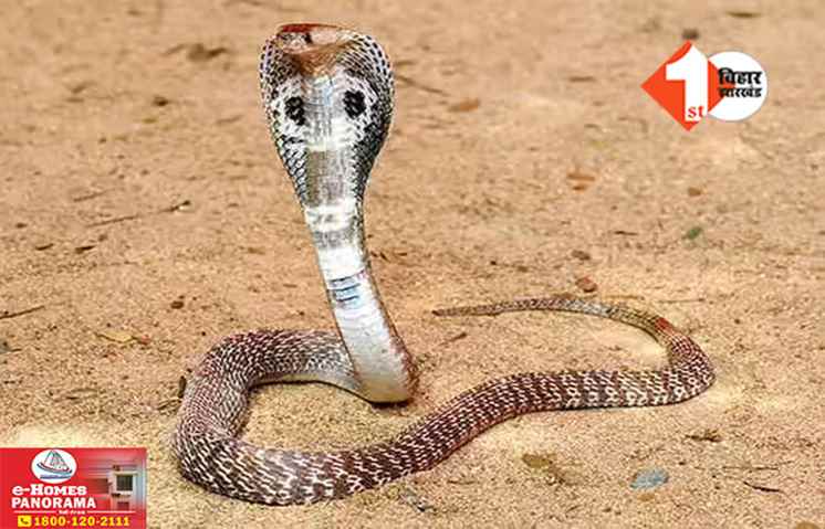 Bihar News