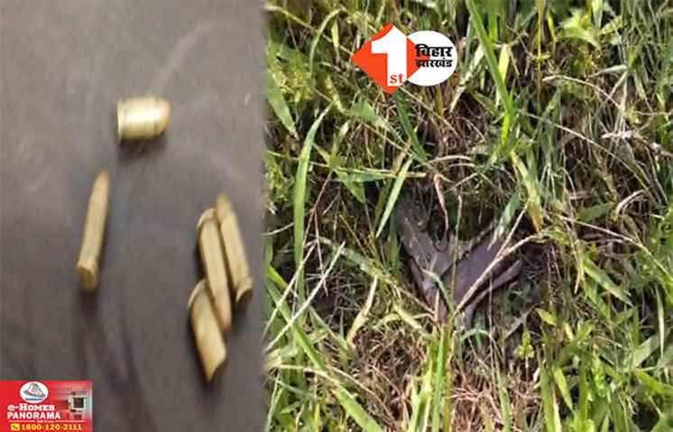 Bihar Crime News
