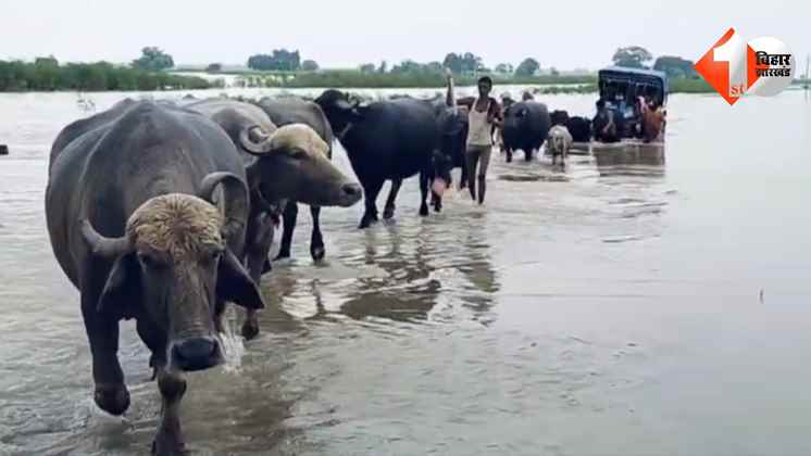Bihar News