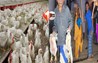 BIHAR CRIME