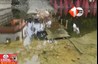 Bihar News