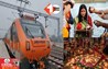  Festival Special Trains