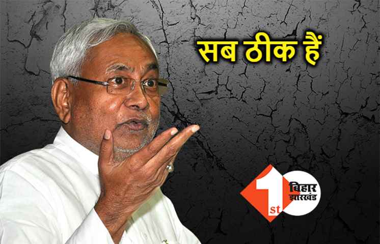 नीतीश कुमार ने JDU में टूट से किया इनकार, बोले- दावे में कोई दम नहीं...सब बेबुनियाद है