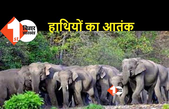 हाथियों ने 2 लोगों को पटककर मार डाला, इलाके में दहशत का माहौल