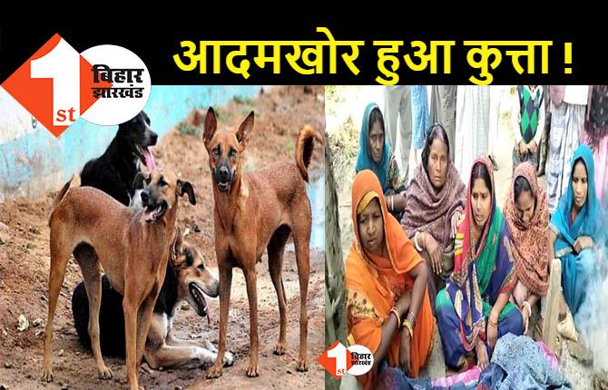 बेगूसराय में नहीं थम रहा आवारा कुत्तों का आतंक, 15 मिनट में महिला को नोंच खाया, एक सप्ताह के अंदर दूसरी मौत  