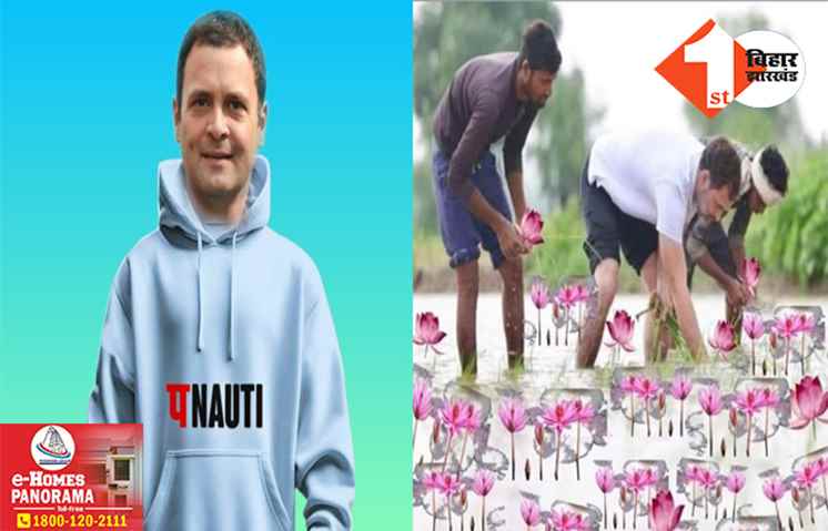 चार में से तीन राज्यों में कांग्रेस की करारी हार! X पर ट्रेंड कर रहा #राहुल_गाँधी_पनौती_है