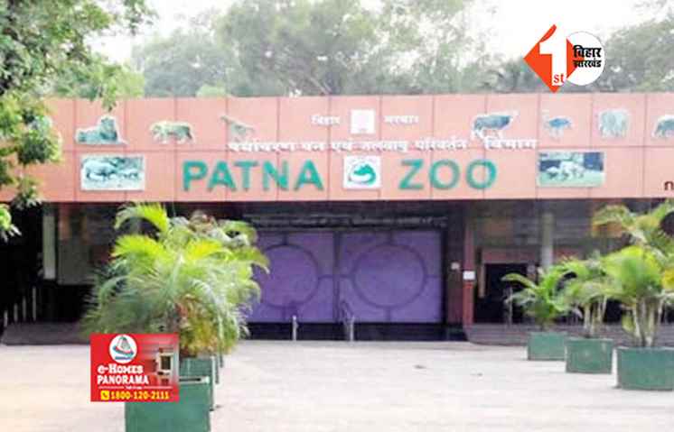 PATNA NEWS : नए साल के अवसर पर पटना जू में होगी विशेष व्यवस्था, खुलेंगे 12 अलग टिकट काउंटर