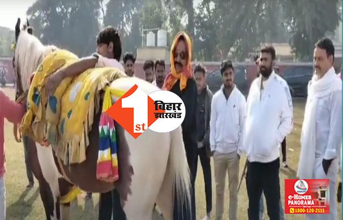 Bihar Politics: फिर मैदान में उतरा अनंत सिंह का 'लाडला', घुड़सवारी की शौक पर निकले मोकामा के पूर्व बाहुबली विधायक 