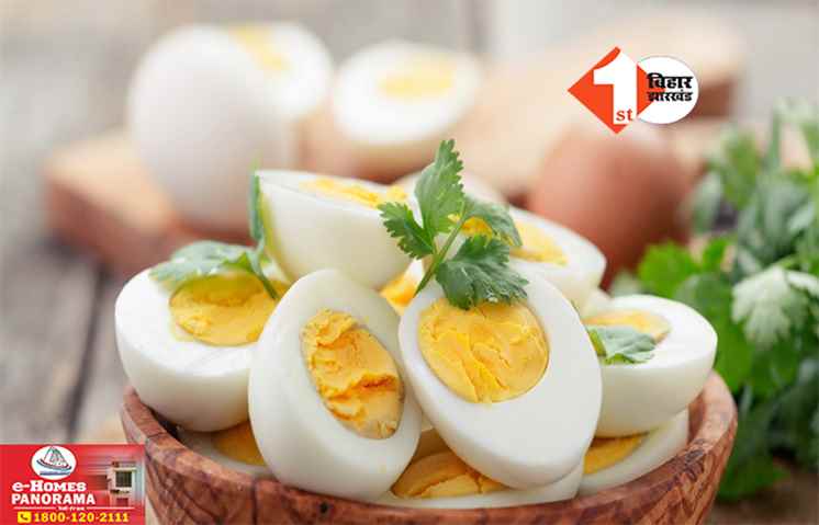 Eggs In Winter: ठंड के मौसम में हर दिन कितने अंडे खा सकते हैं? जानिए.. क्या है एक्सपर्ट की सलाह