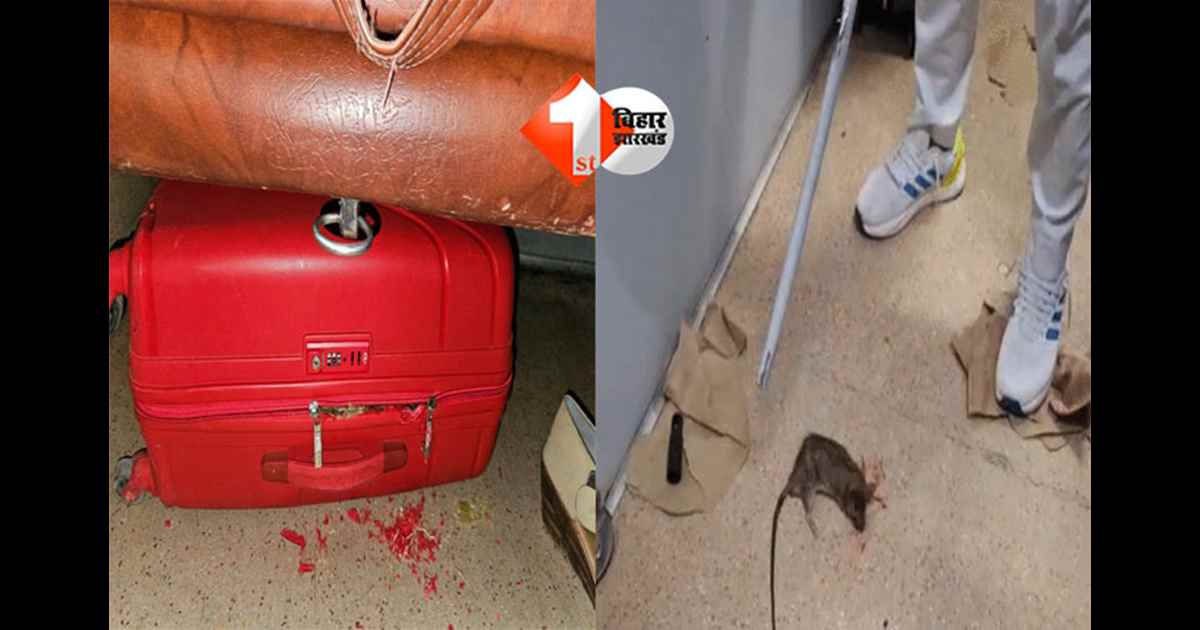 Train Travel Safety : फर्स्ट एसी बोगी में यात्रियों को काट रहा चूहा, पूर्व विधायक ने सोशल मीडिया पर वीडियो किया शेयर; मेंटेनेंस पर उठाए सवाल