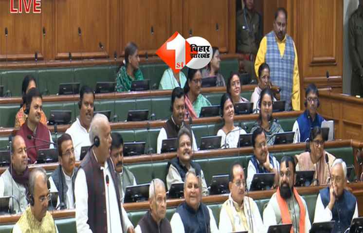 Bihar Assembly : सच हुई CM की भविष्यवाणी, विपक्ष 35 सदस्यों तक सिमटा, नीतीश ने सदन में इशारों में पत्रकारों से की बात