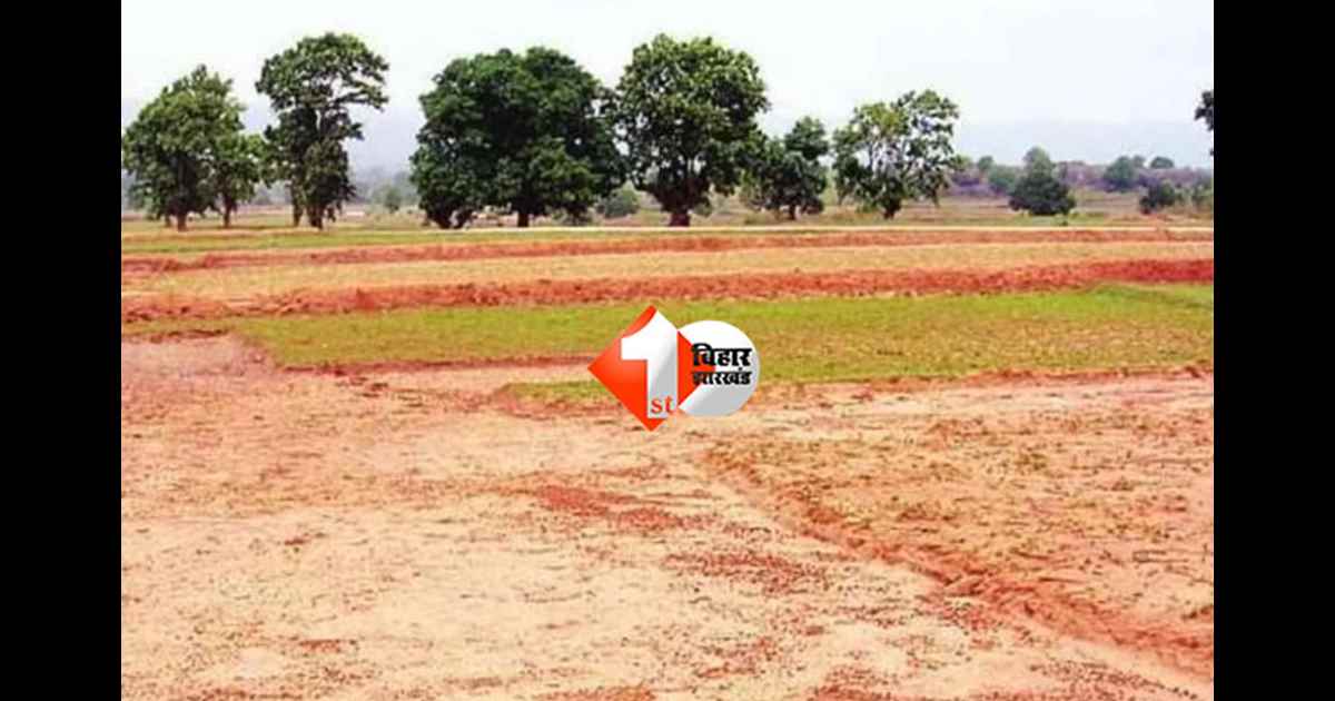 bihar land : बिहार में इन लोगों के लिए नहीं होगी जमीन की कोई कमी, अतिक्रमण होने पर नपेंगे अधिकारी; विभाग का सख्त निर्देश 