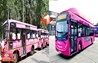  New Bus Service :  नए साल से इस जिलें में भी दौड़ेंगी पिंक बसें, पटना समेत कई जिलों में महिला ड्राइवरों की भर्ती शुरू