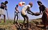 MGNREGA replacement bill : मनरेगा की जगह नया ग्रामीण रोजगार कानून लाने की तैयारी, 125 दिनों के काम की संवैधानिक गारंटी का प्रस्ताव