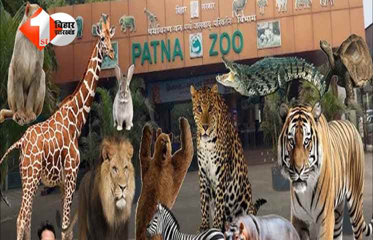 Patna Zoo : पटना चिड़ियाघर के टिकट हुए महंगे, एंट्री फीस में 3 गुना वृद्धि; जानें नया रेट और सुविधाएं