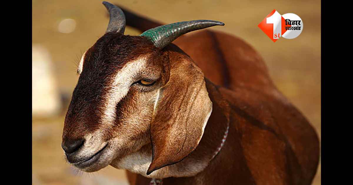 छत्तीसगढ़