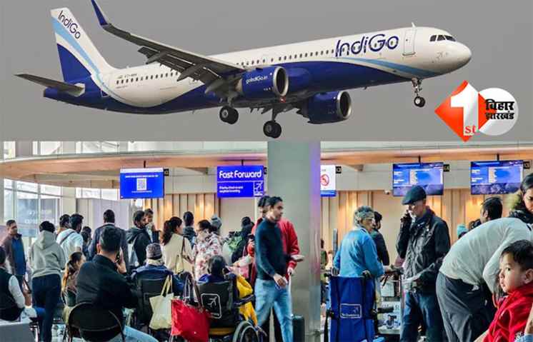 Indigo Flight Cancellations