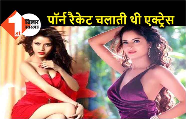वेबसाइट पर पॉर्न वीडियो अपलोड करती थी एक्ट्रेस, पुलिस ने छापेमारी कर दबोचा 