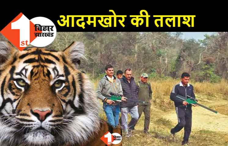 आदमखोर बाघिन की तलाश जारी, लखनिया कैम्प के पास अपने बच्चे के साथ नजर आयी
