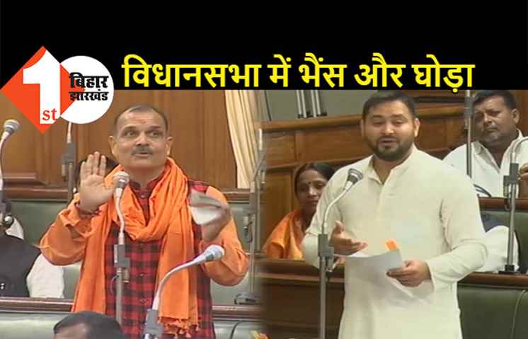 तेजस्वी की कहानी पर BJP विधायक ने किया पलटवार, भैंस के जवाब में घोड़े की कहानी सुनाई 