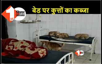 स्वास्थ्य मंत्री मंगल पांडेय के गृह जिले का हाल, मरीज की बेड पर सोते हैं कुत्ते