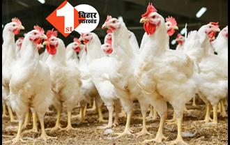 होली से पहले बर्ड फ्लू का दस्तक! 5 दिन के भीतर 400 से अधिक मुर्गियों की मौत, पशुपालन विभाग ने जारी किया अलर्ट