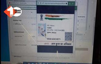 बिहार में कुत्ते ने जाति प्रमाण पत्र बनाने के लिए दिया ऑनलाइन आवेदन, सकते में प्रशासन