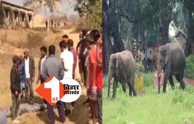 लोहरदगा में जंगली हाथियों का आतंक,पटक- पटक कर  तीन लोगों की ले ली जान 