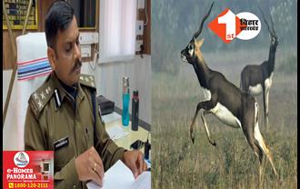 बिहार: काले हिरण के शिकार मामले में थानेदार पर गिरी गाज, DIG ने सेवा से किया बर्खास्त