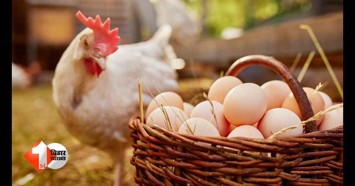 Bird Flu in Patna