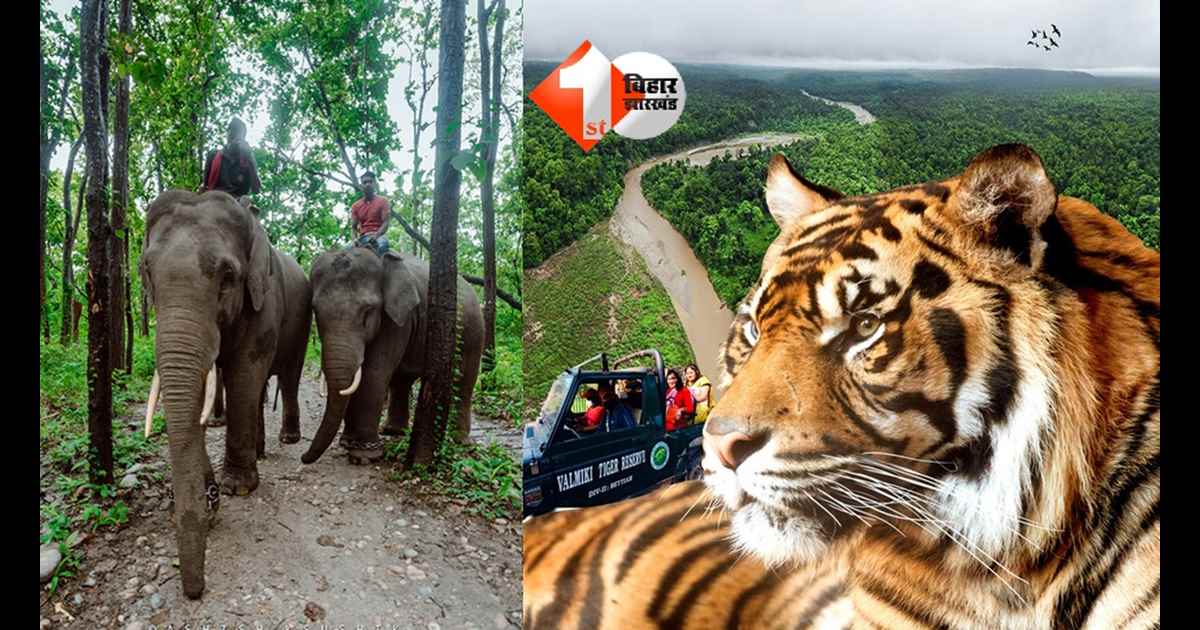 Valmiki Tiger Reserve