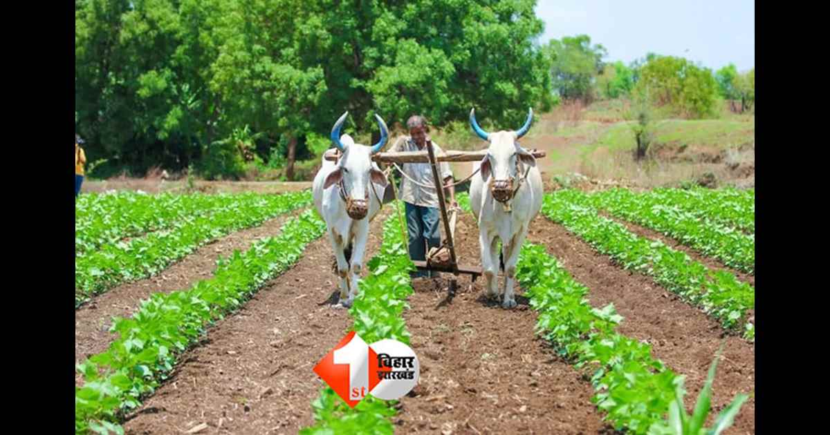 Bihar Farmer Scheme