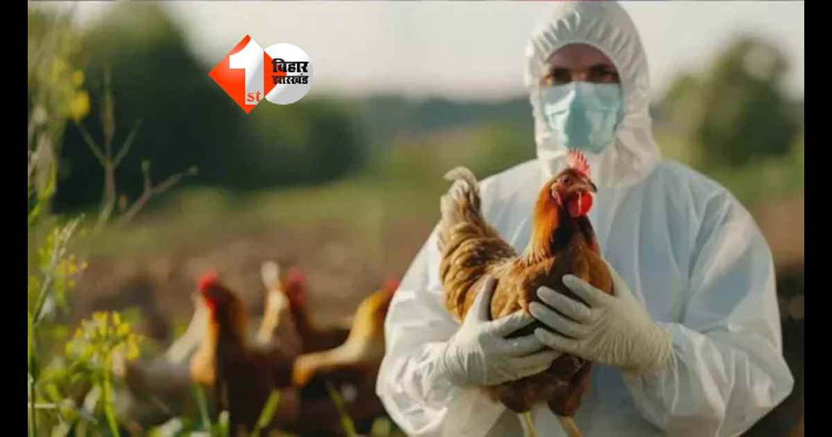 Patna Bird Flu