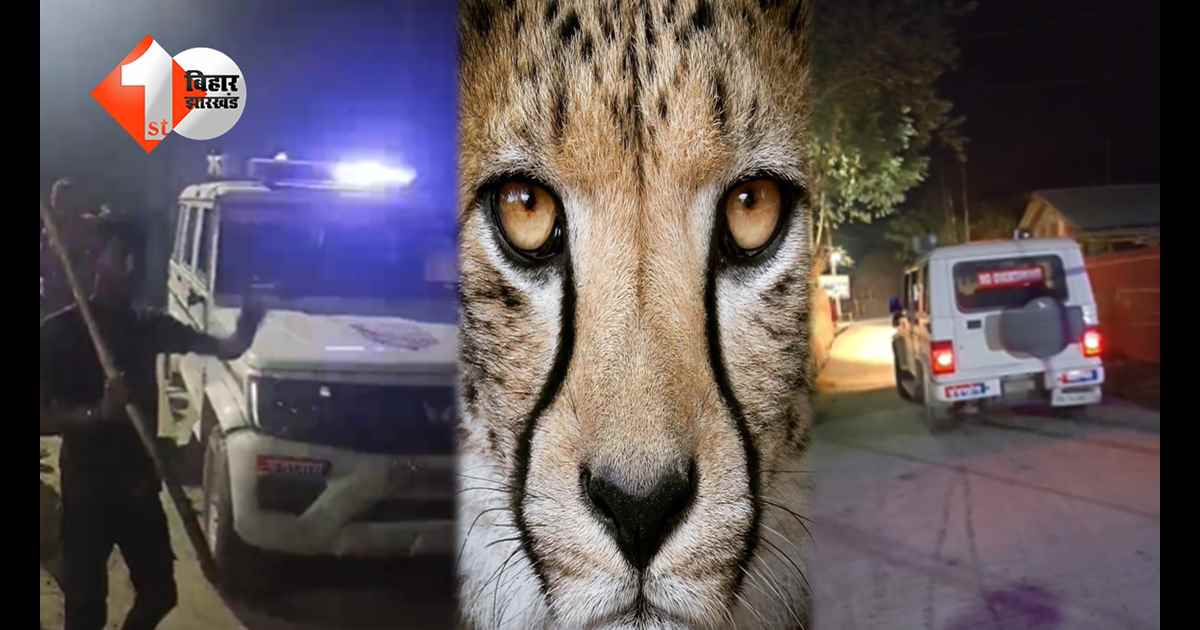 बिहार न्यूज