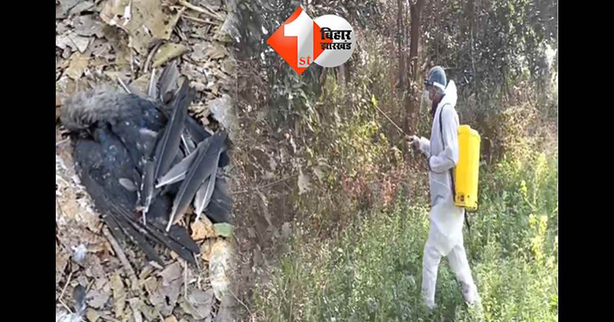 बिहार न्यूज