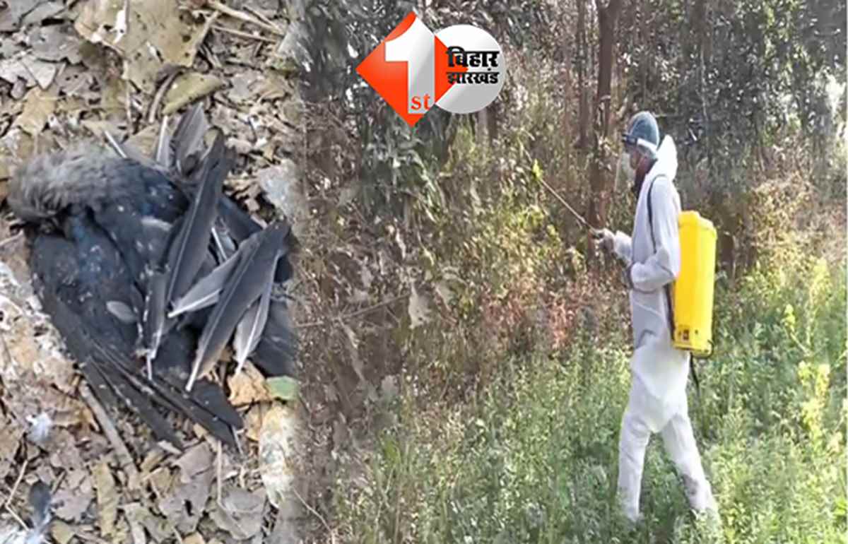 बिहार न्यूज