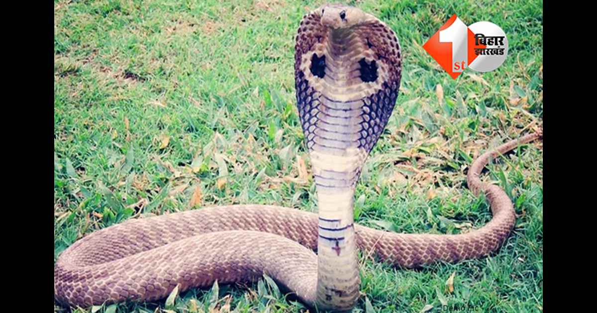 बिहार न्यूज