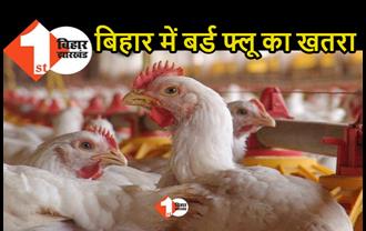 बिहार में बर्ड फ्लू का मंडराया खतरा, मुजफ्फरपुर में मुर्गियों के बाद मरे कौवे और कबूतर
