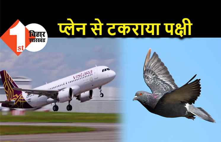 पटना एयरपोर्ट पर प्लेन से टकराया पक्षी, विमान में आई खराबी