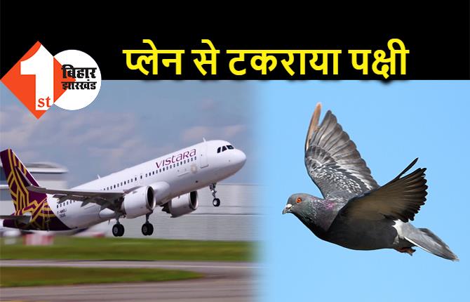 पटना एयरपोर्ट पर प्लेन से टकराया पक्षी, विमान में आई खराबी