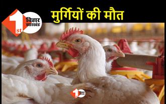 बिहार में बर्ड फ्लू ने दी दस्तक, मुजफ्फरपुर में 70 मुर्गियों की मौत