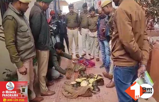 बिहार: सुपरफास्ट ट्रेन से दुर्लभ प्रजाति के कछुआ बरामद, रेल पुलिस ने वन विभाग को सौंपा