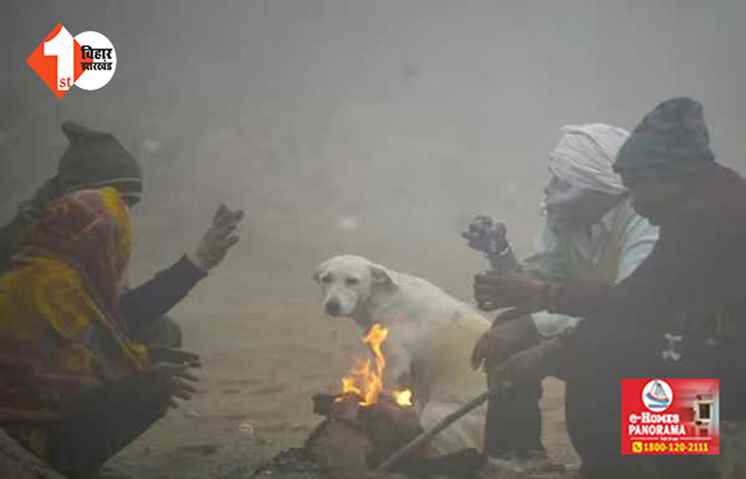 शीतलहर की चपेट में आधा बिहार, पटना में शिमला जैसी सर्दी!