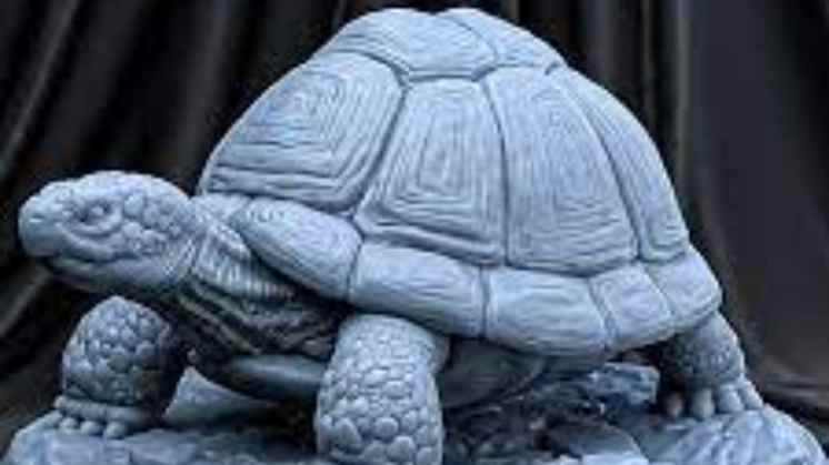 Tortoise Statue