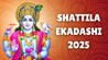 Shattila Ekadashi 2025 