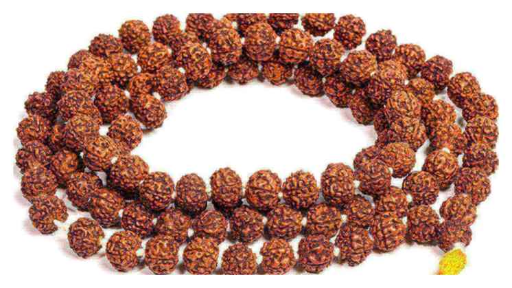 Rudraksha