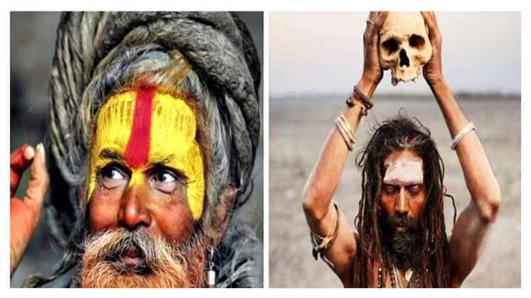  Aghori Sadhu 