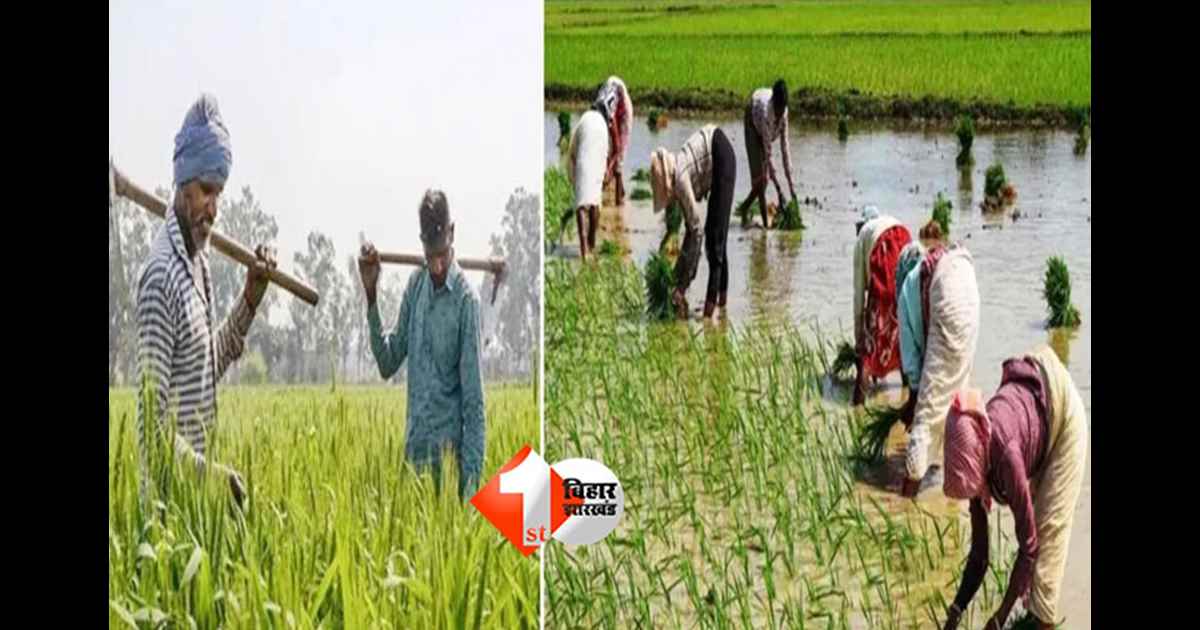 PM Kisan Samman Nidhi : बिहार के किसानों के लिए बड़ी समस्या, पीएम-किसान सम्मान निधि की अगली किस्त से कई किसान वंचित; जानिए क्या है मुख्य वजह 